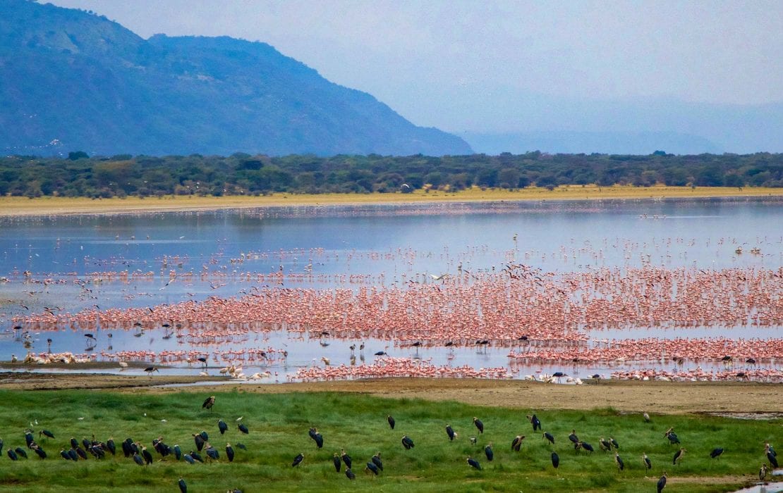 12 Days Kenya|Tanzania Cultural Experience Tours Nairobi Great Rift Valley Aberdare Range Nakuru County Serengeti Ngorongoro Manyara Arusha